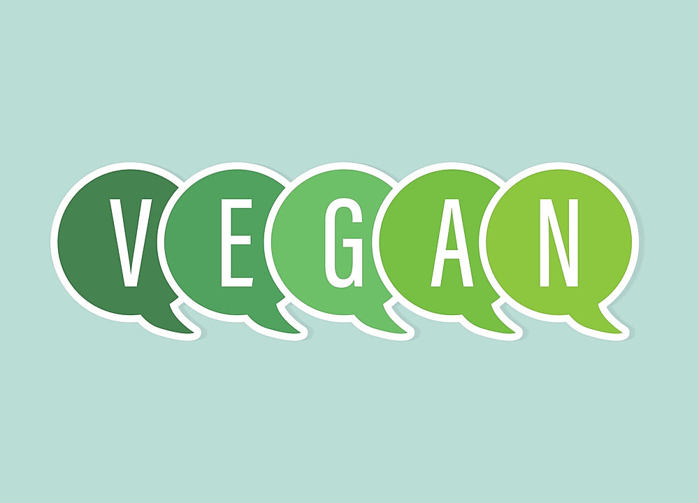 The Ultimate Guide to Healthy Vegan Snacking: Exploring the Best of Cheddar Jalapeño Flavor by Pnuff